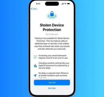 汝城苹果授权维修店分享被盗设备保护功能开启方法 