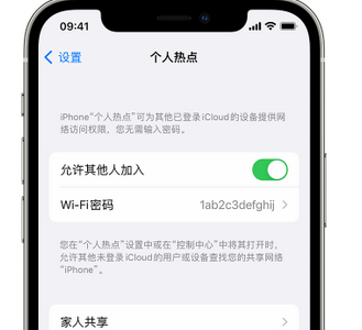 汝城apple服务站点分享iPhone上个人热点丢失了怎么办 