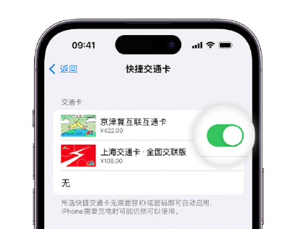 汝城apple维修点分享iPhone上更换Apple Pay快捷交通卡手绘卡面 