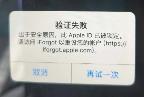 汝城iPhone维修分享iPhone上正常登录或使用AppleID怎么办 