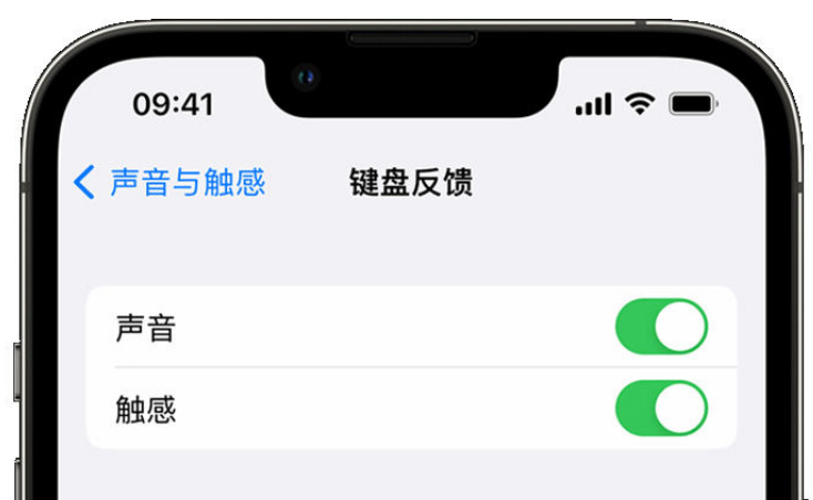 汝城苹果手机维修分享iPhone 14触感键盘使用方法 