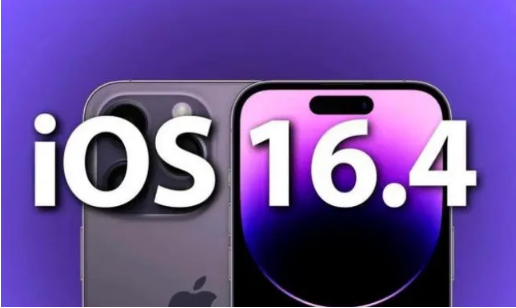 汝城苹果14维修分享：iPhone14可以升级iOS16.4beta2吗？ 