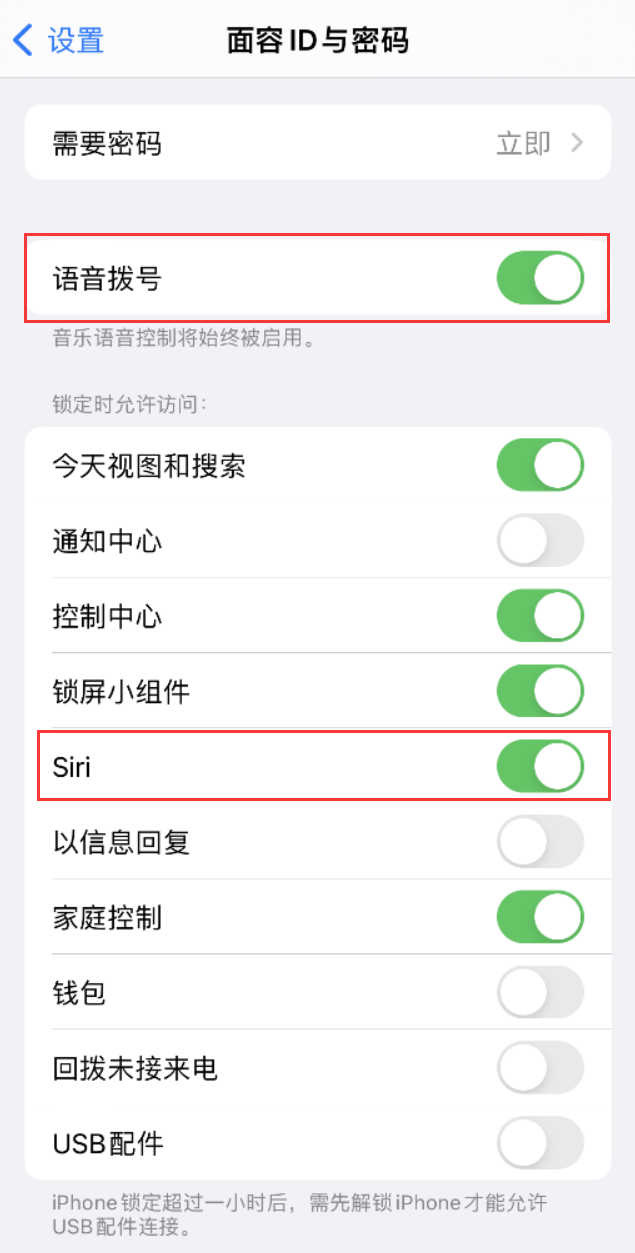 汝城苹果维修网点分享不解锁 iPhone 的情况下通过 Siri 拨打电话的方法 