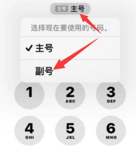 汝城苹果14维修店分享iPhone 14 Pro Max使用副卡打电话的方法 