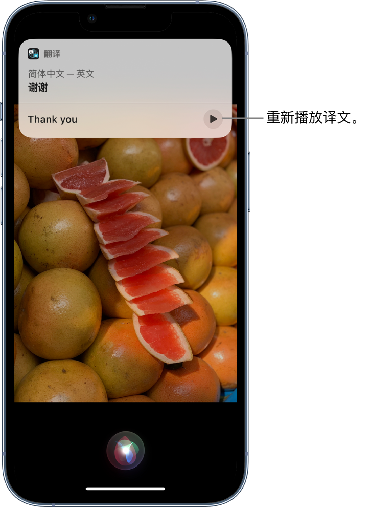 汝城苹果14维修分享 iPhone 14 机型中使用 Siri：了解 Siri 能帮你做什么 