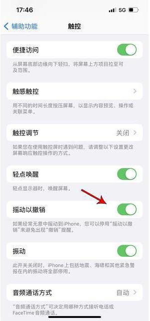 汝城苹果手机维修分享iPhone手机如何设置摇一摇删除文字 